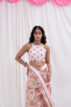 GULABI ZHALAR SAREE SET